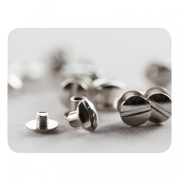 Set 12 Schrauben für Werbeschriften